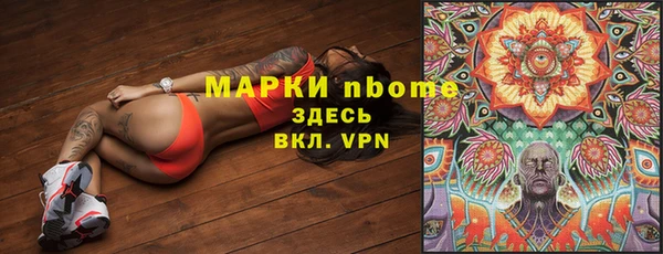 PSILOCYBIN Аркадак