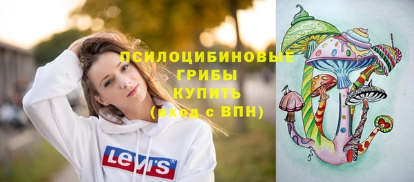 apvp Армянск